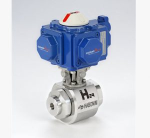 Habonim actuated ball valve for Hydrogen service